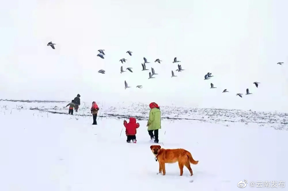 “云南发布”微博