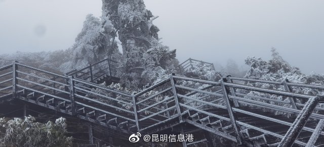 昆明信息港