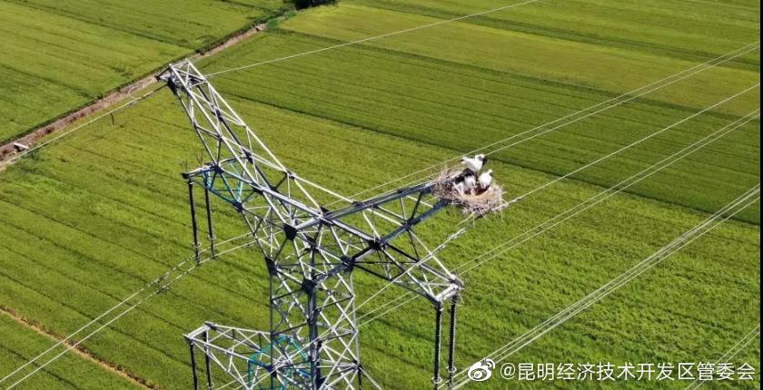 “昆明经济技术开发区管委会”微博