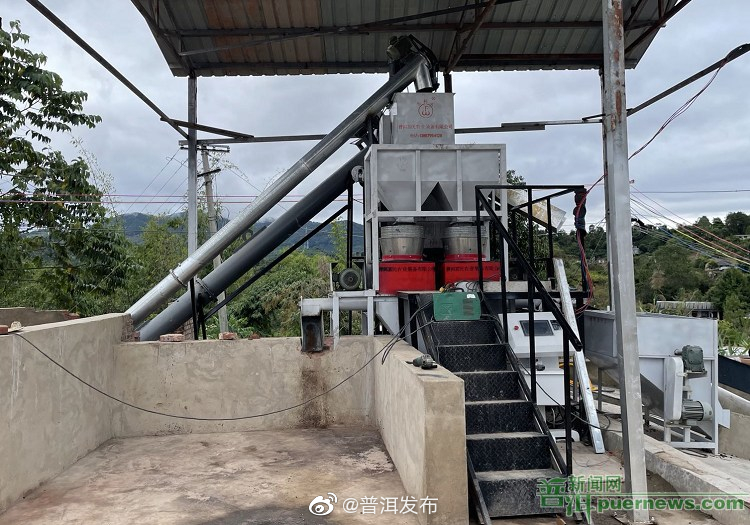 思茅区：“精工品质” 打造优质精品咖啡生产加工体系——聚焦思茅区咖啡产业发展系列报道之三