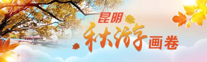 掌上春城