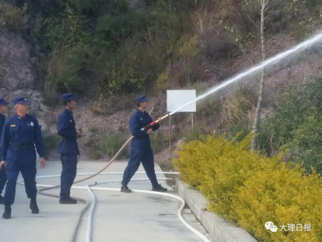 大理日报(微信)