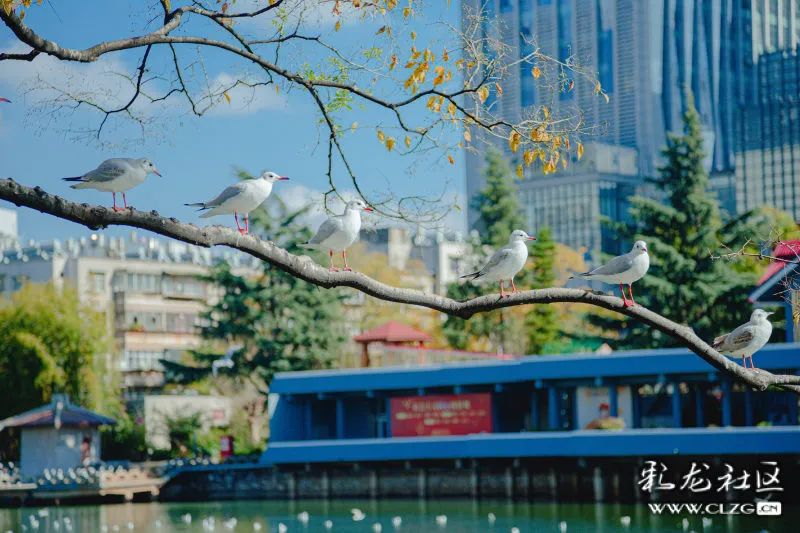 昆明信息港/cnkmxxg