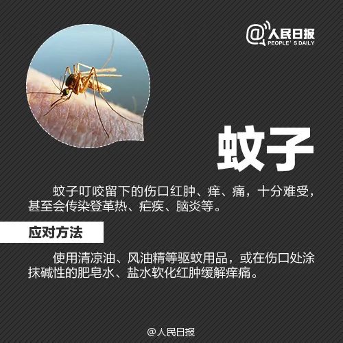 春城晚报