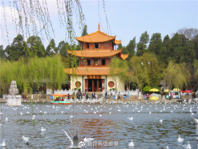 昆明信息港