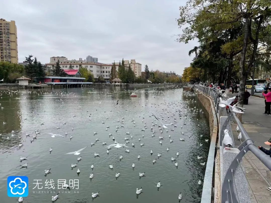 昆明发布