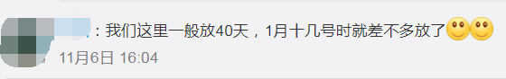 掌上春城