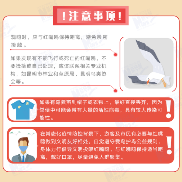昆明发布