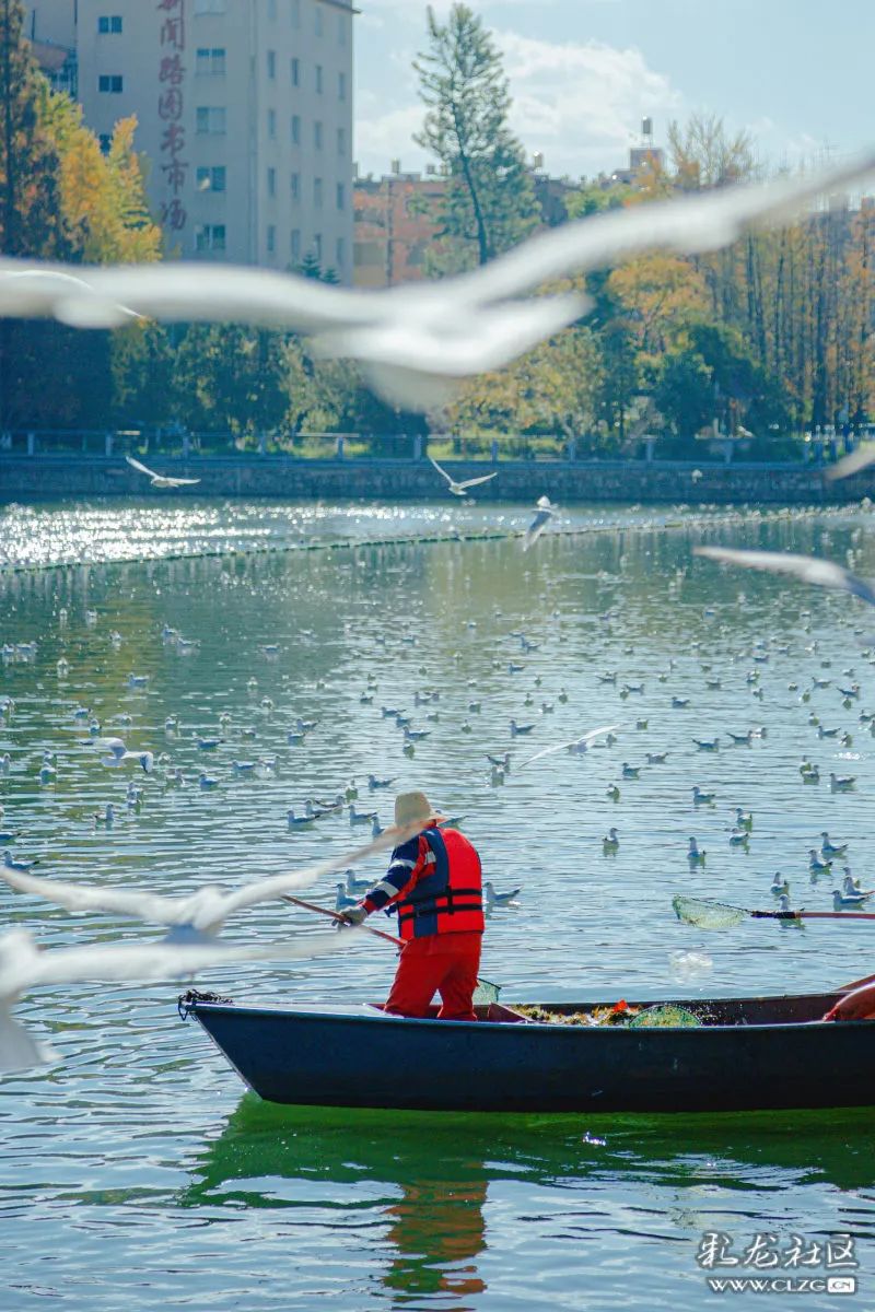 昆明信息港/cnkmxxg