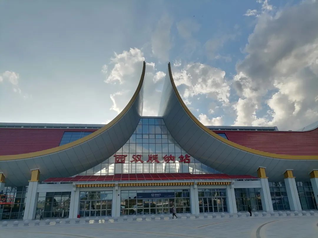 西双版纳望天树景区