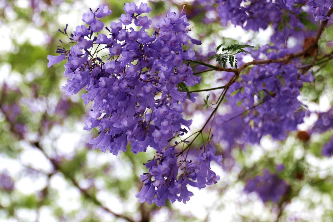 宜良检察(微信)