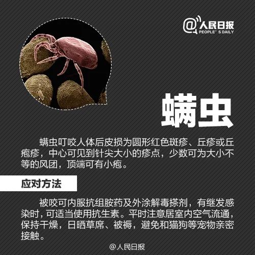 春城晚报