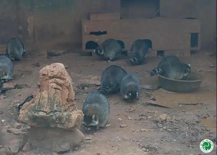 昆明动物园