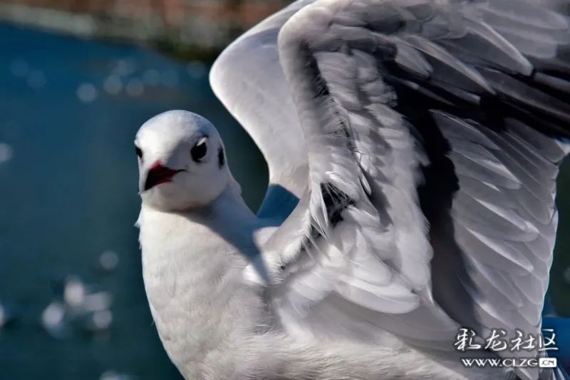 昆明信息港/cnkmxxg