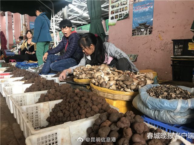 昆明信息港