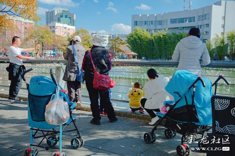 昆明信息港/cnkmxxg