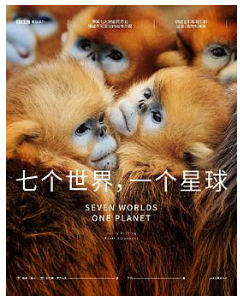 云南省图书馆(微信)