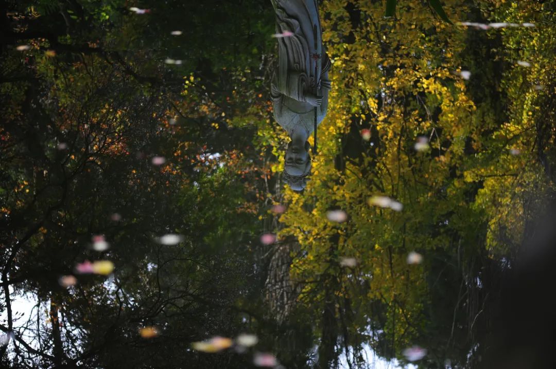 昆明市金殿名胜区