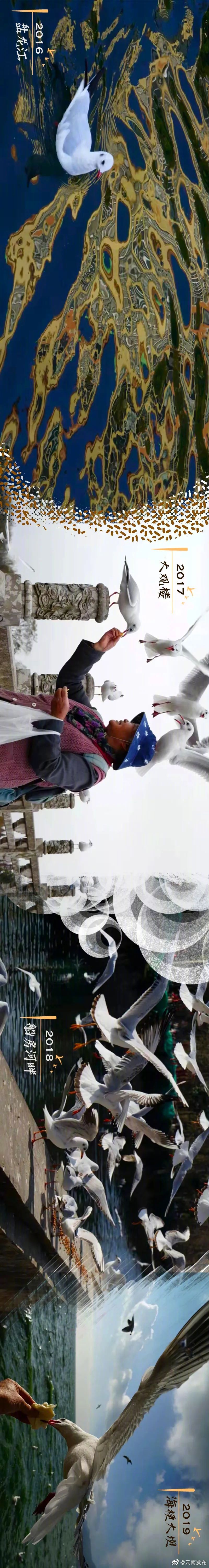 “云南发布”微博