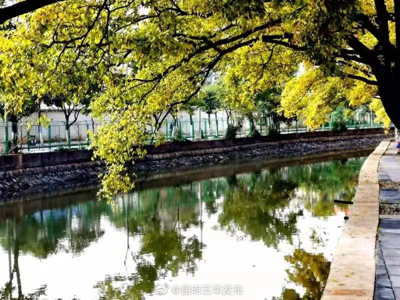“昆明五华发布”微博
