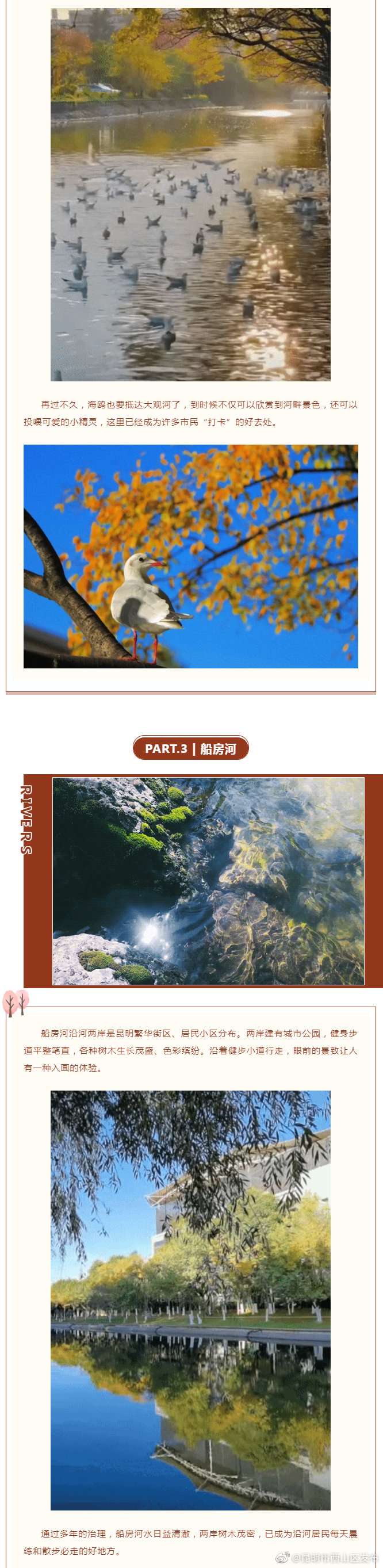 “昆明市西山区发布”微博