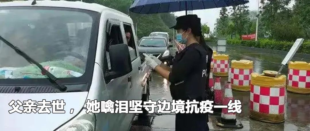 云南政法(微信)