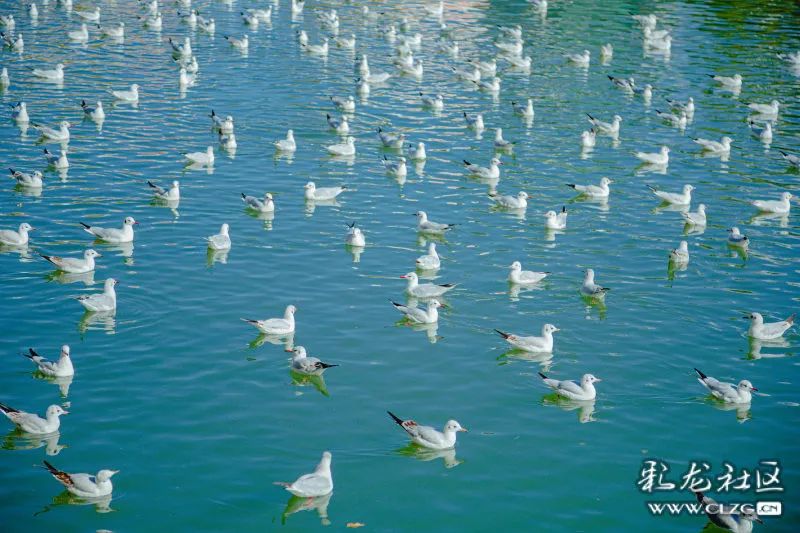 昆明信息港/cnkmxxg