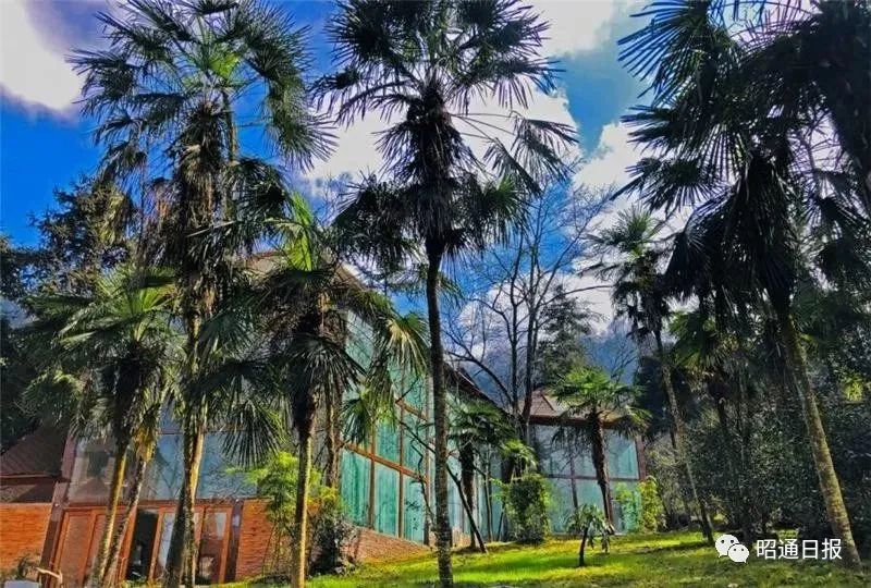 昭通日报