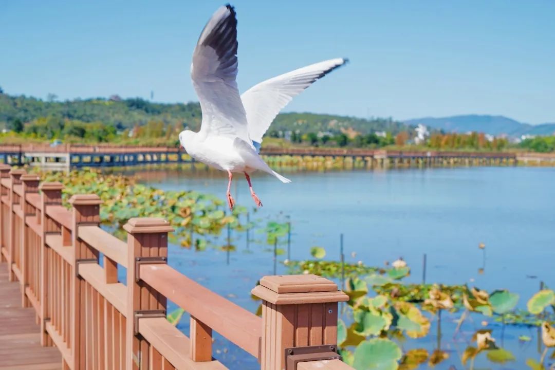红河文旅