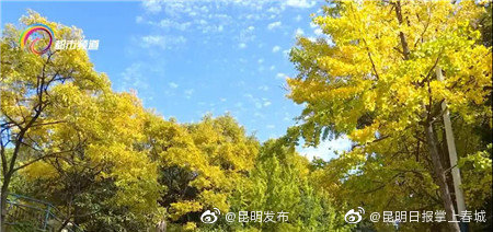 昆明发布