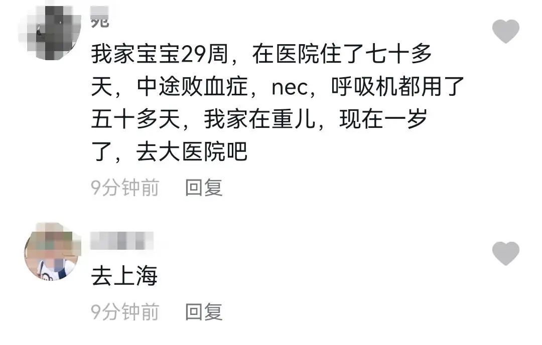 春城晚报