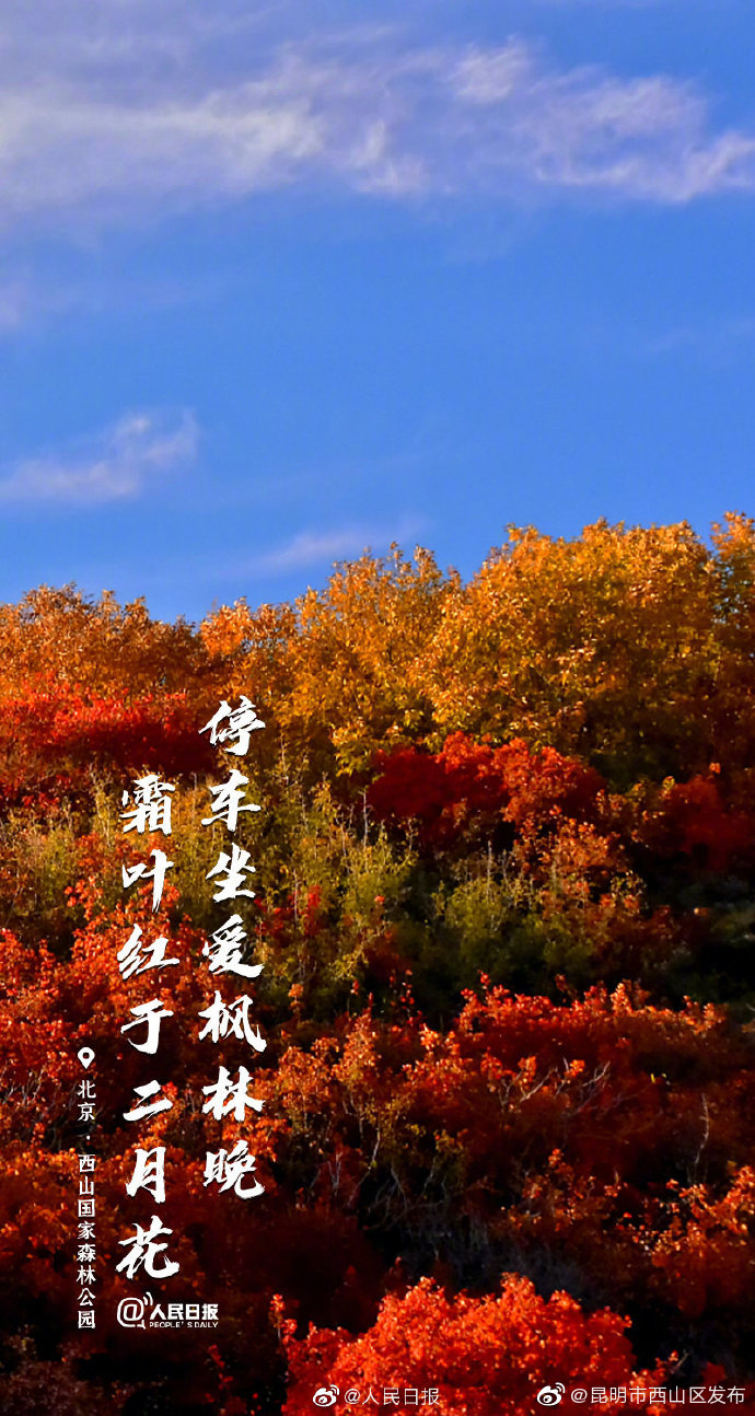 “昆明市西山区发布”微博