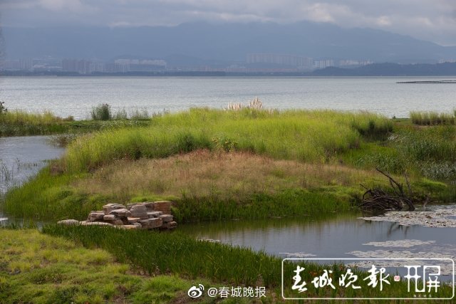 注意！昆明植物园、宝丰湿地昨起闭园