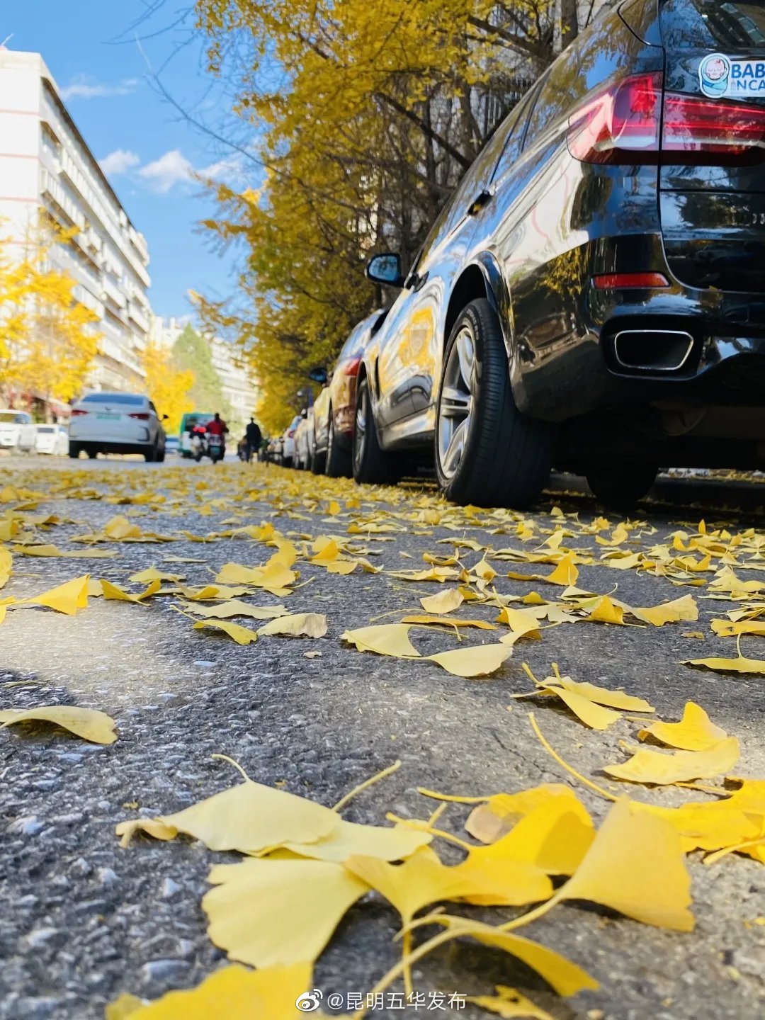 “昆明五华发布”微博