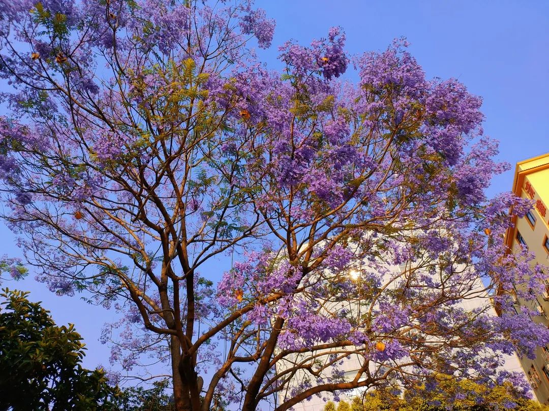 宜良检察(微信)