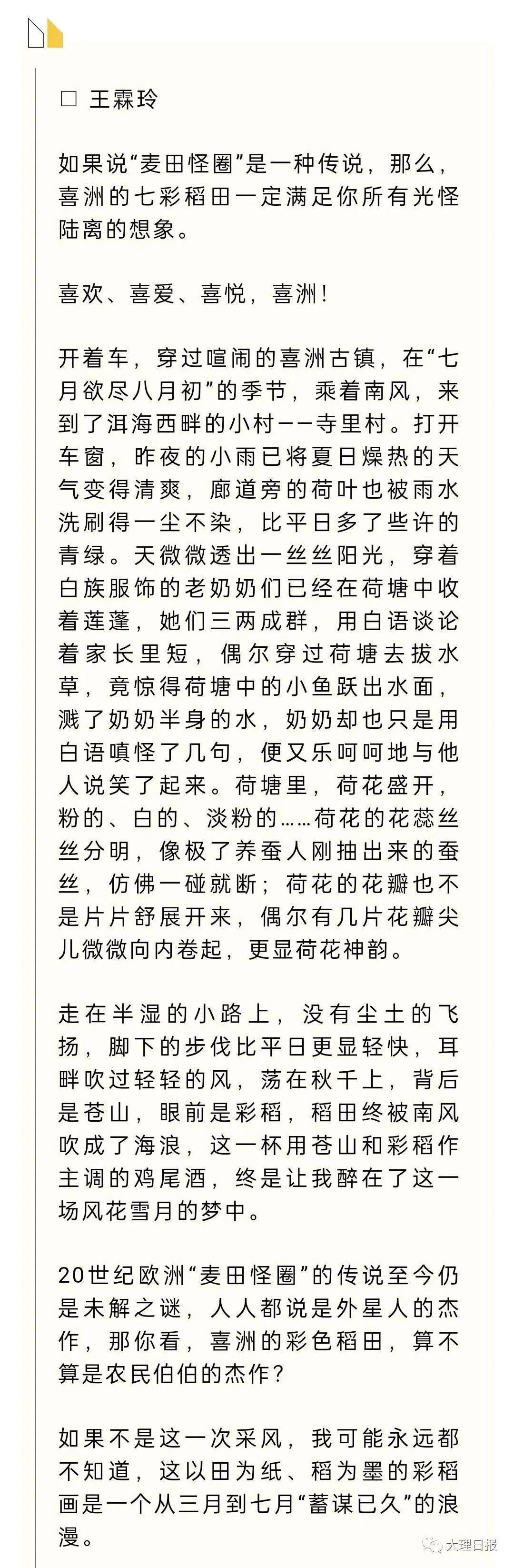 大理日报