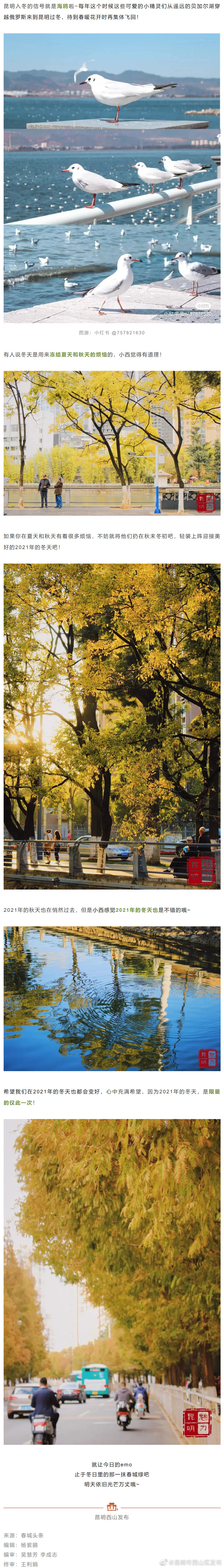 “昆明市西山区发布”微博