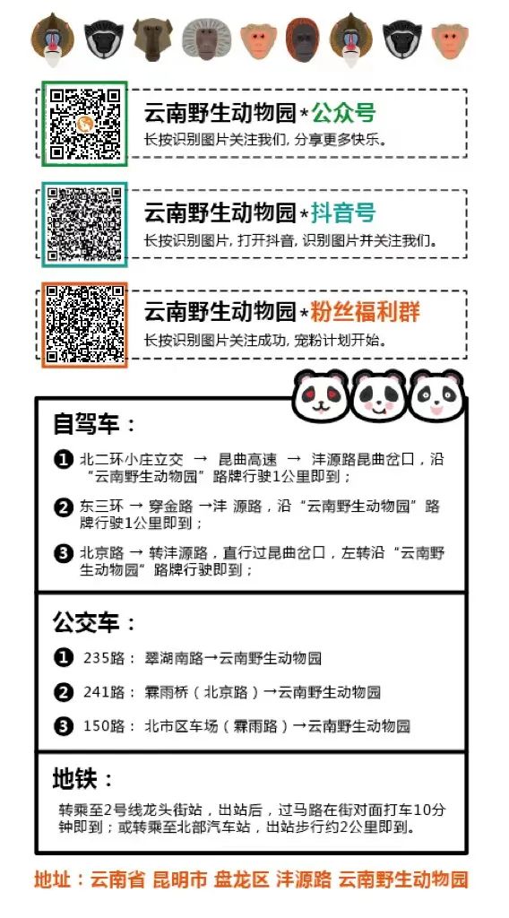 云南野生动物园
