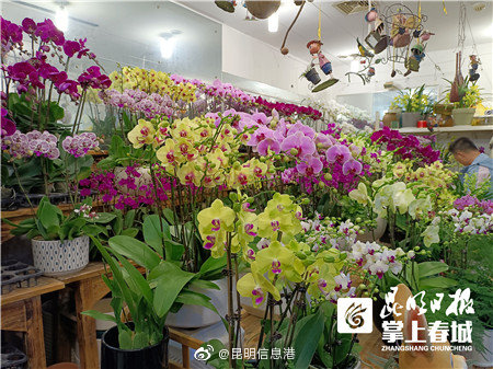 昆明信息港
