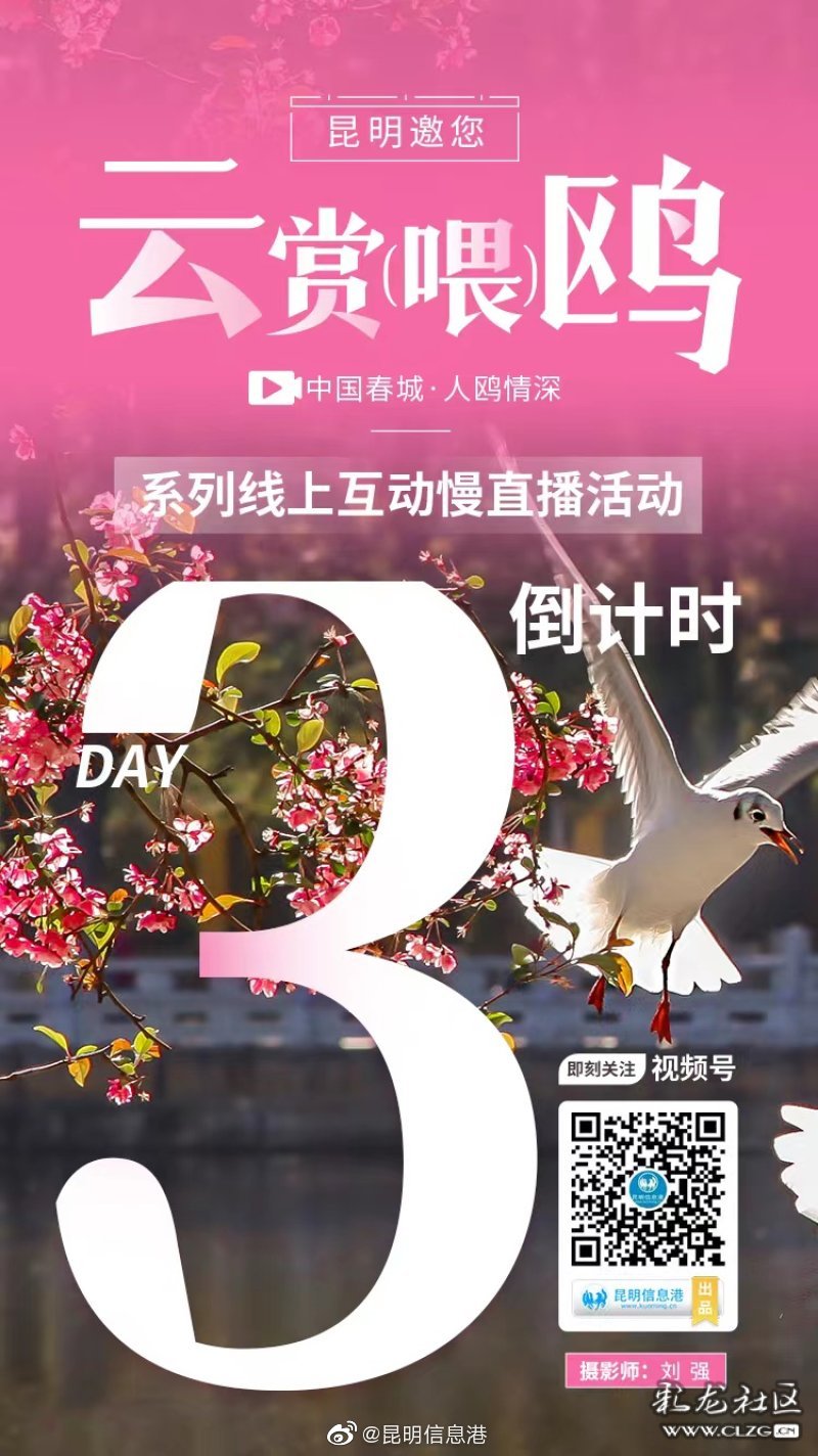 慢直播倒计时3天