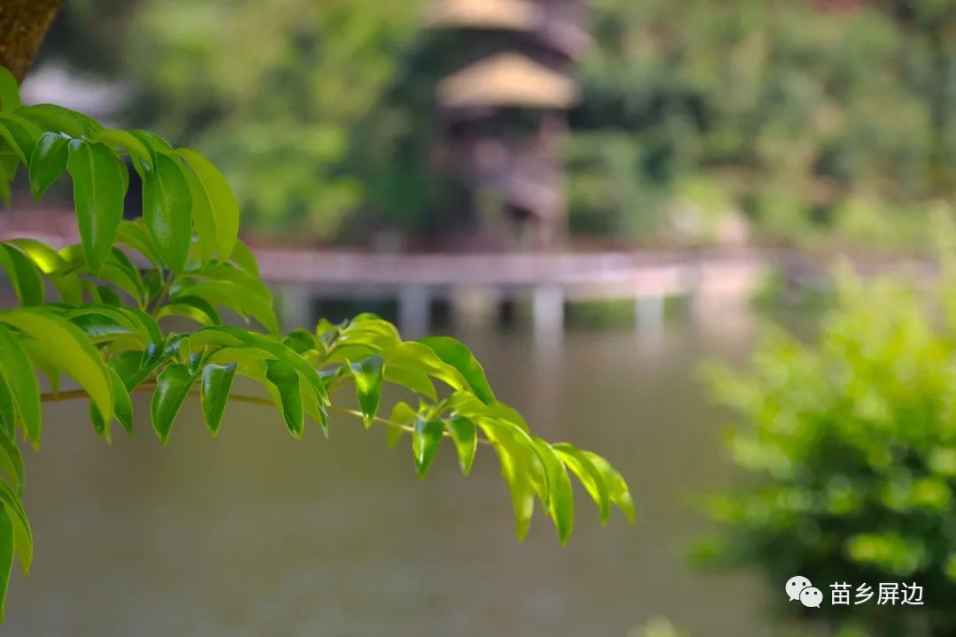 红河文旅