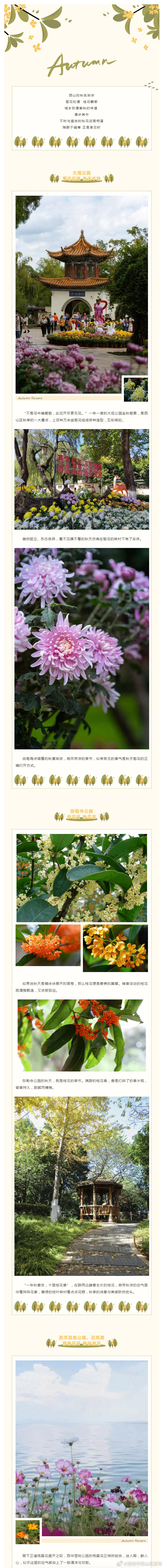“昆明市西山区发布”微博