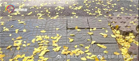 昆明发布