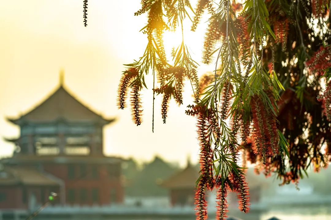 红河文旅