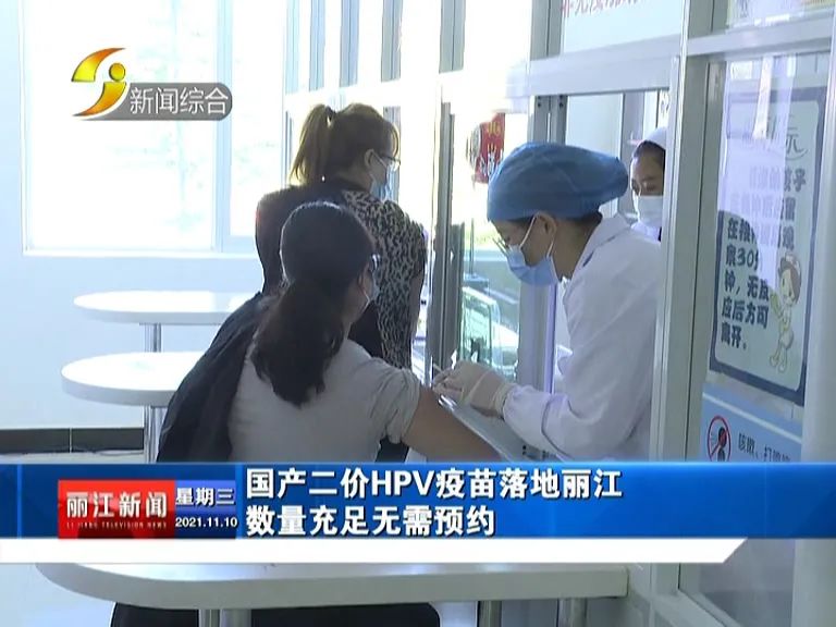 丽江新闻
