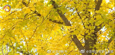 昆明发布