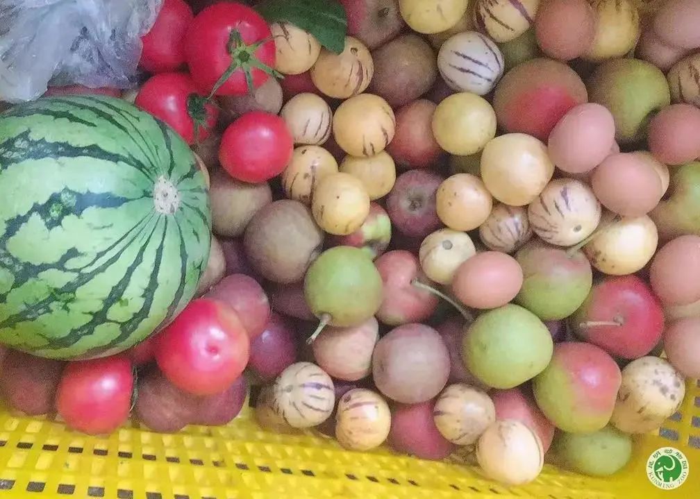 昆明动物园
