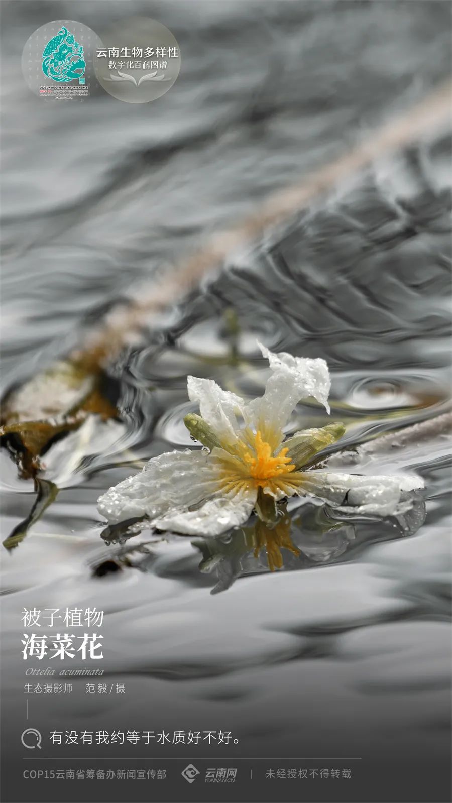 云南省人民政府网