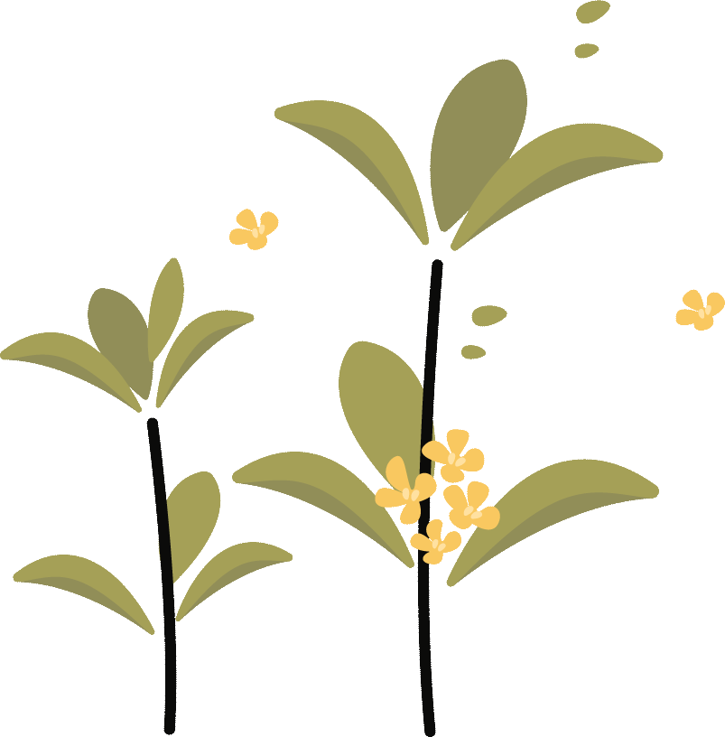 云南省图书馆(微信)