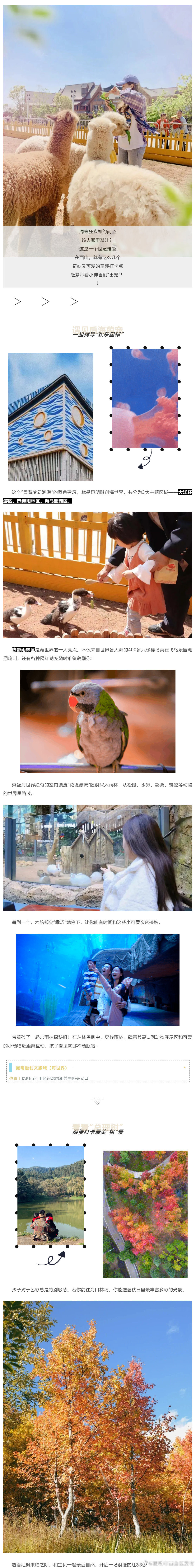 “昆明市西山区发布”微博